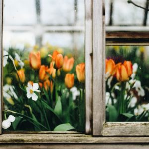Some Reasons to Install Garden Windows in Your Home