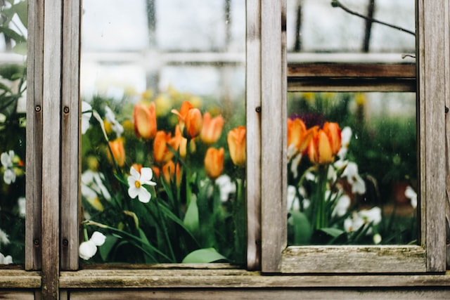 Some Reasons to Install Garden Windows in Your Home